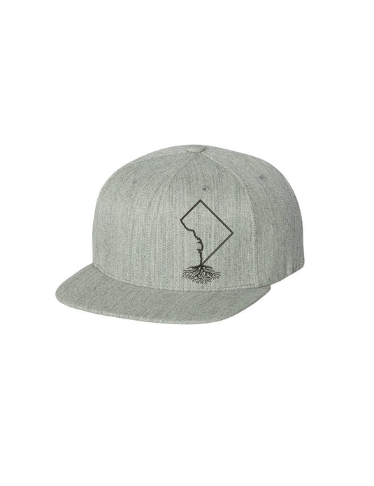Washington DC FlexFit Snapback