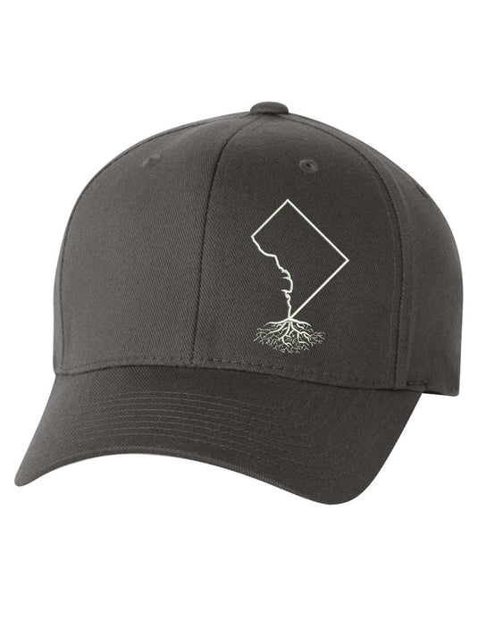 Washington DC Roots Structured Flexfit Hat