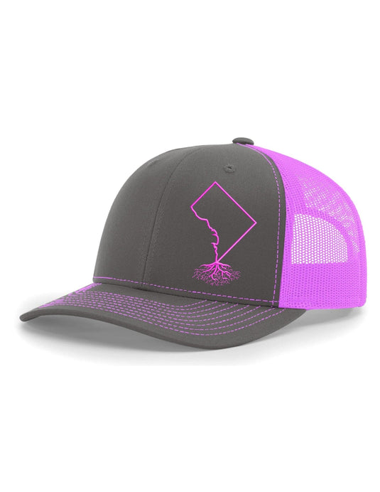 Washington DC Snapback Trucker