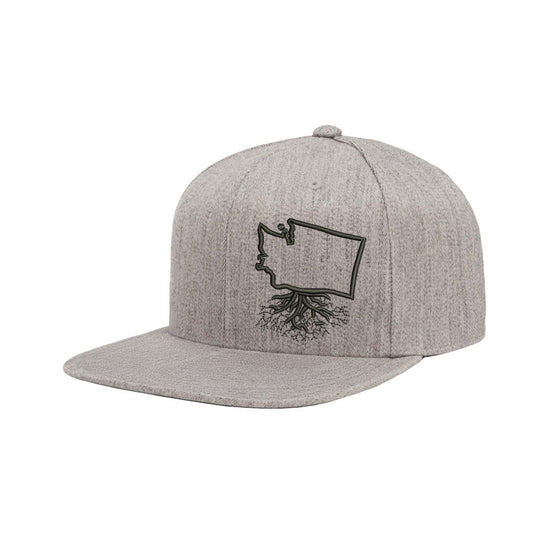 Washington FlexFit Snapback