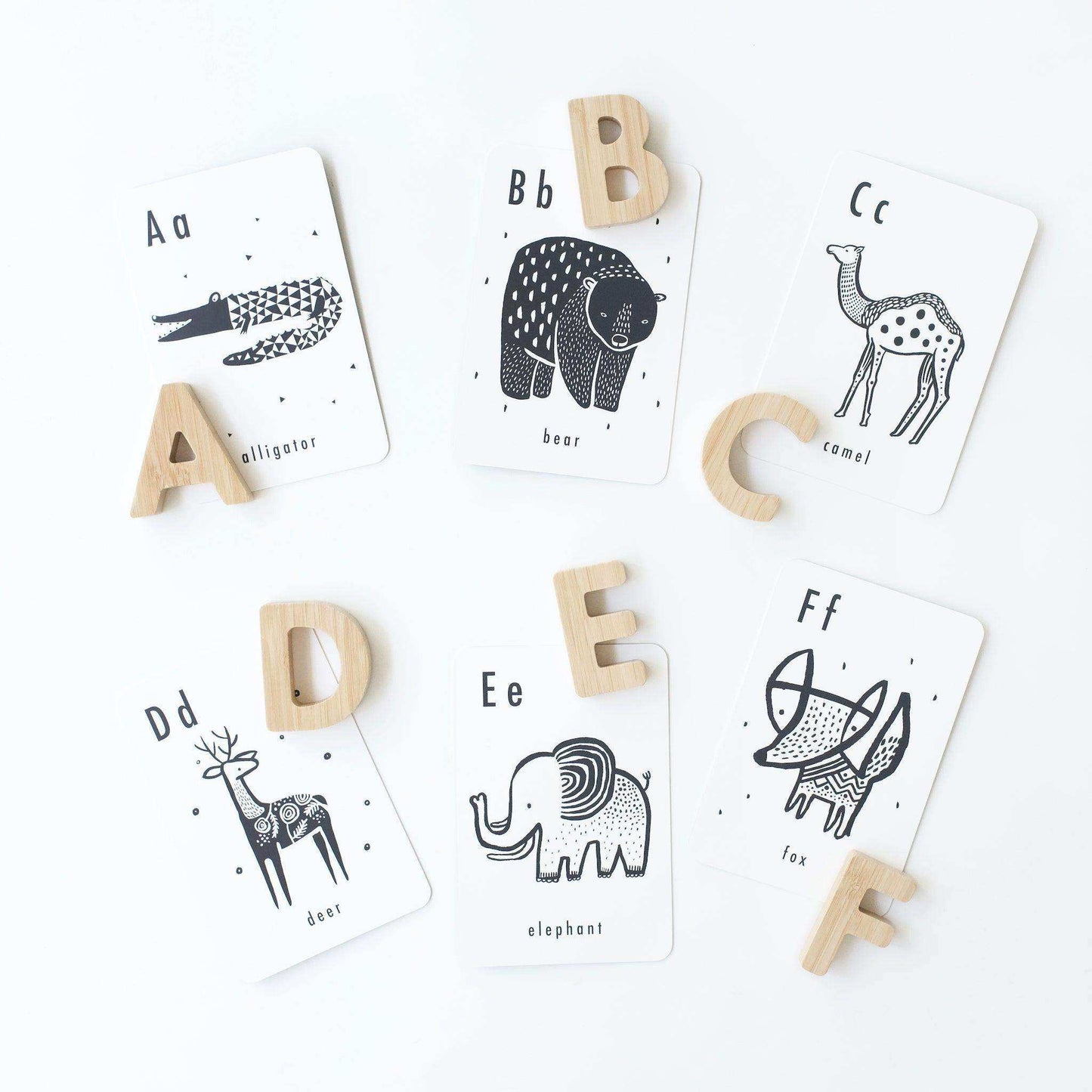 Alphabet Adventure Bundle - Skoutley Outdoors LLC