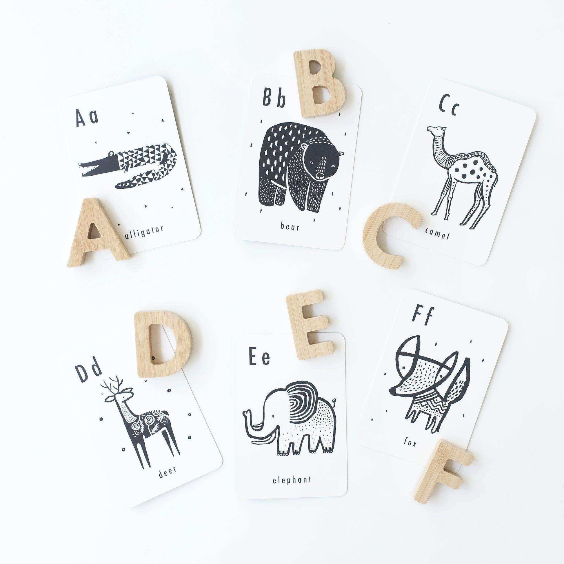 Alphabet Adventure Bundle - Skoutley Outdoors LLC
