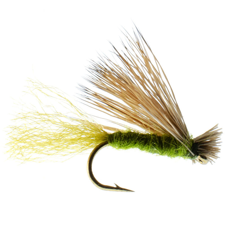Load image into Gallery viewer, Olive X Caddis Emerging Caddis Adult Trout Dry Fly - 1 Dozen Flies Hook Size 16
