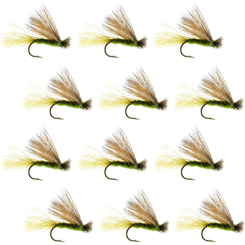 Load image into Gallery viewer, Olive X Caddis Emerging Caddis Adult Trout Dry Fly - 1 Dozen Flies Hook Size 14
