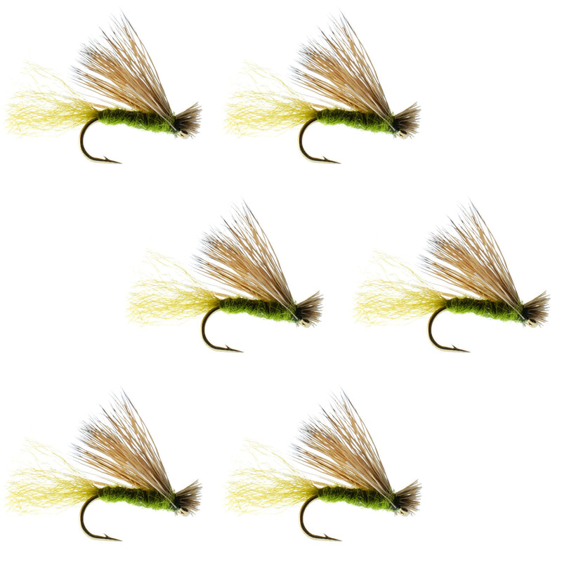 Load image into Gallery viewer, Olive X Caddis Emerging Caddis Adult Trout Dry Fly - 6 Flies Hook Size 16
